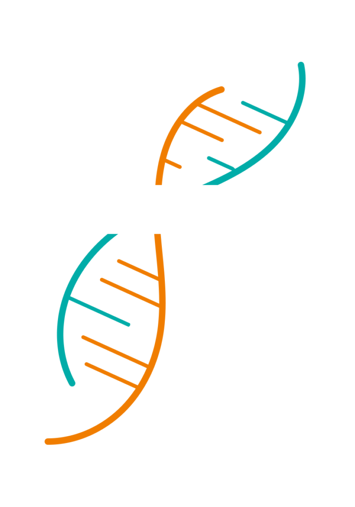 Ageless by Design logo white type